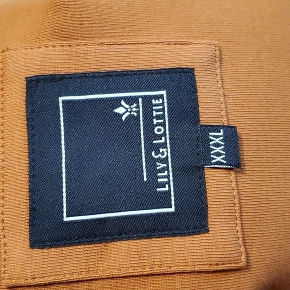 Lily & Lottie- Hooded Sweatshirt Slant zip neckline cozy Neutral oversized Sz XL - Picture 4 of 4